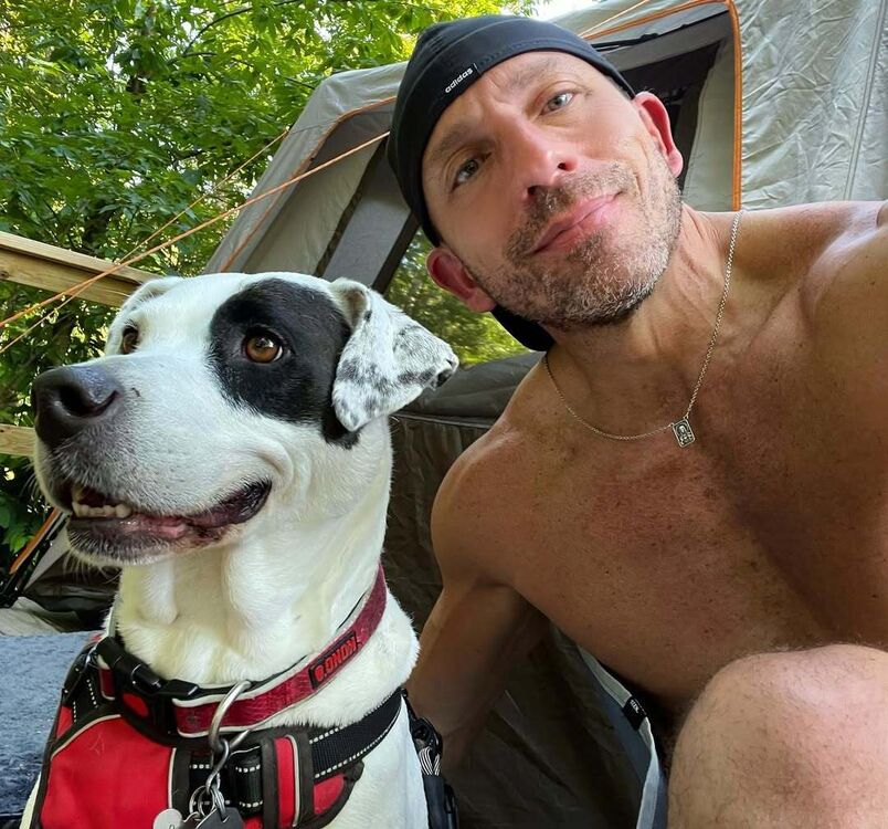 ���� 55586277 ������� �������, 39 ���, ���� ���������� � ������������