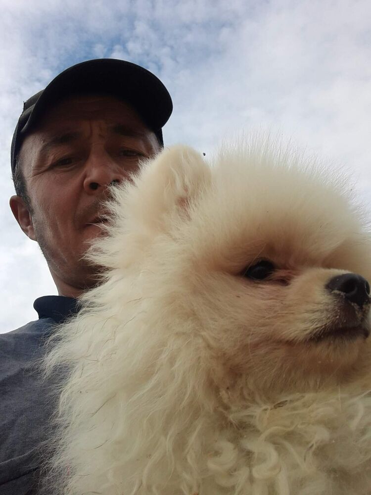 ���������� �������, ���� ������� ����, 50 ���, ������������ ��� ������, ����� � ���������