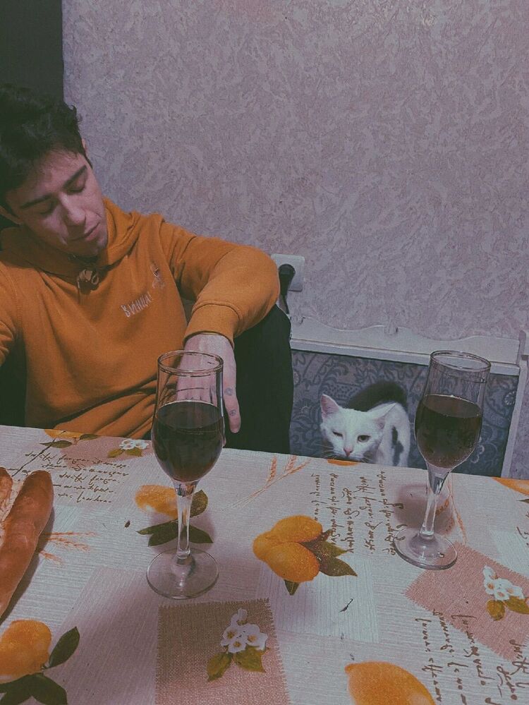 ���������� ���������, ���� ����� �������, 24 ����, ������������ ��� ������, ����� � ���������, c�������� ���������, ���������