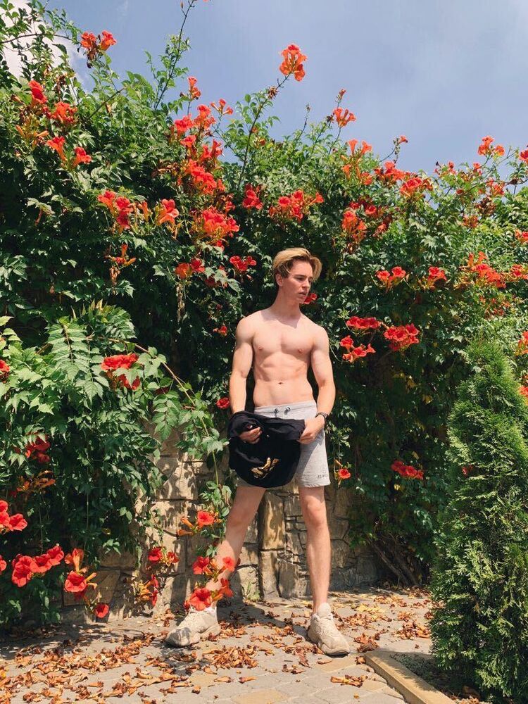 ���� 31173877 ����� ������, 24 ����, ���� ���������� � ������