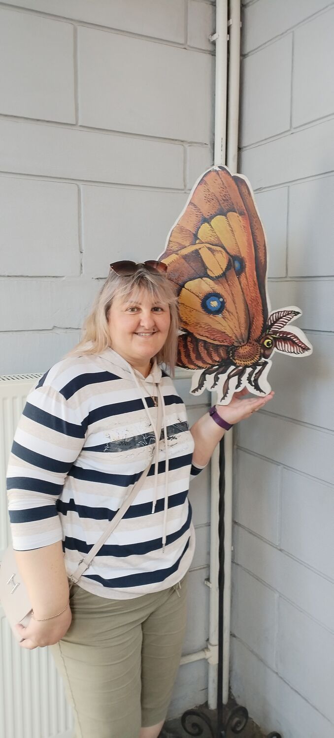  53704827  , 51 ,    -