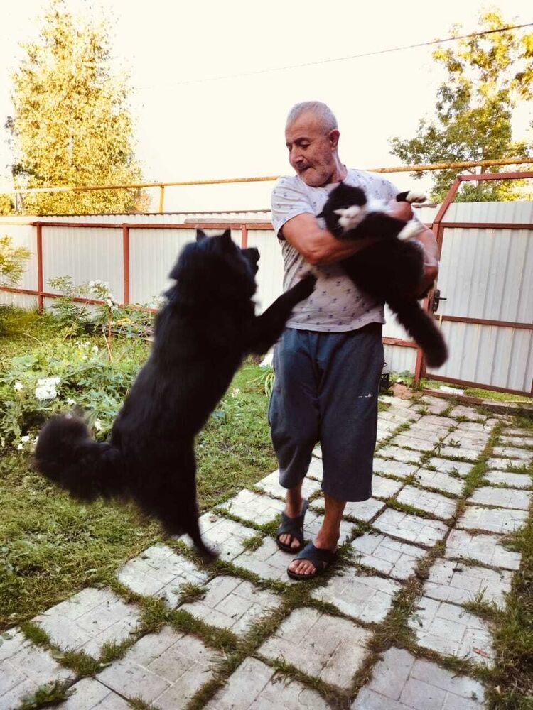 ���������� �����-���������, ���� ������� �����, 59 ���, ������������ ��� ����� � ���������, c�������� ���������, ���������