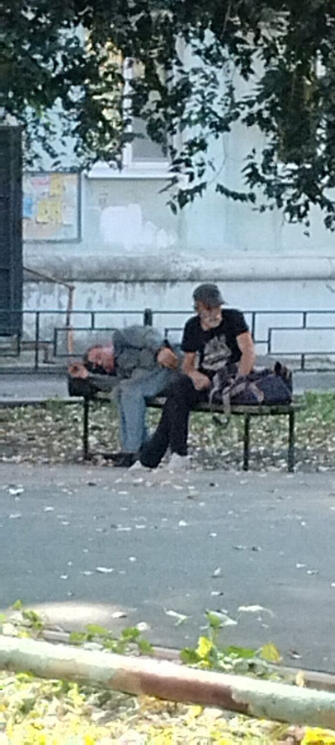 ���������� ������, ���� ������� ����, 38 ���, ������������ ��� ������, ����� � ���������