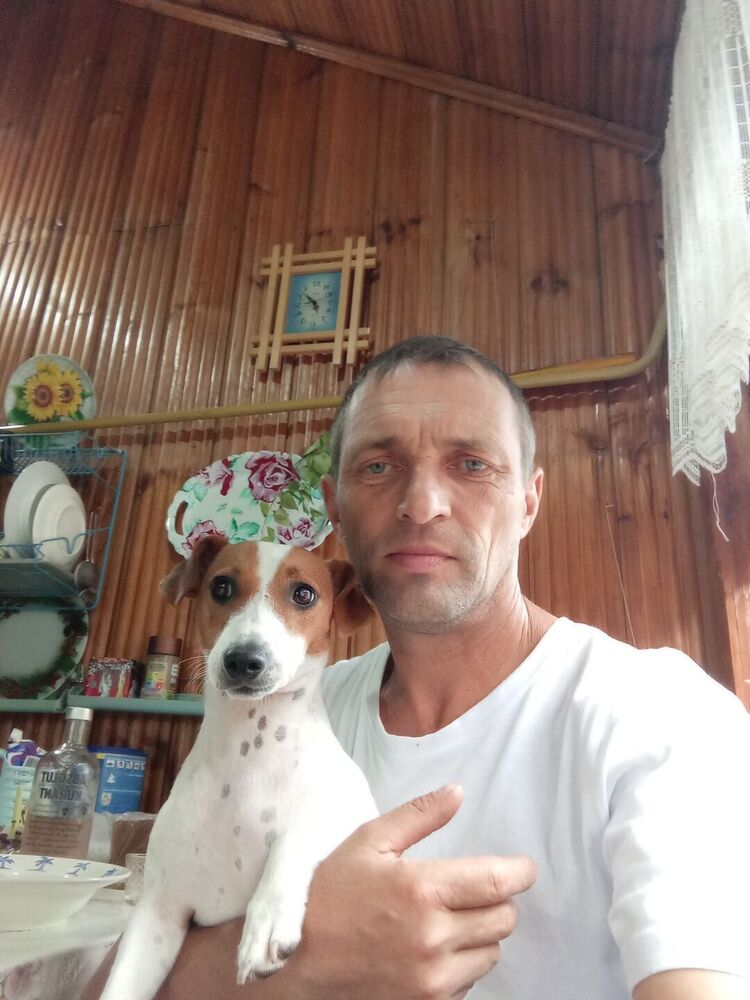 ���� 53111977 ������� ������, 50 ���, ���� ���������� � ����������