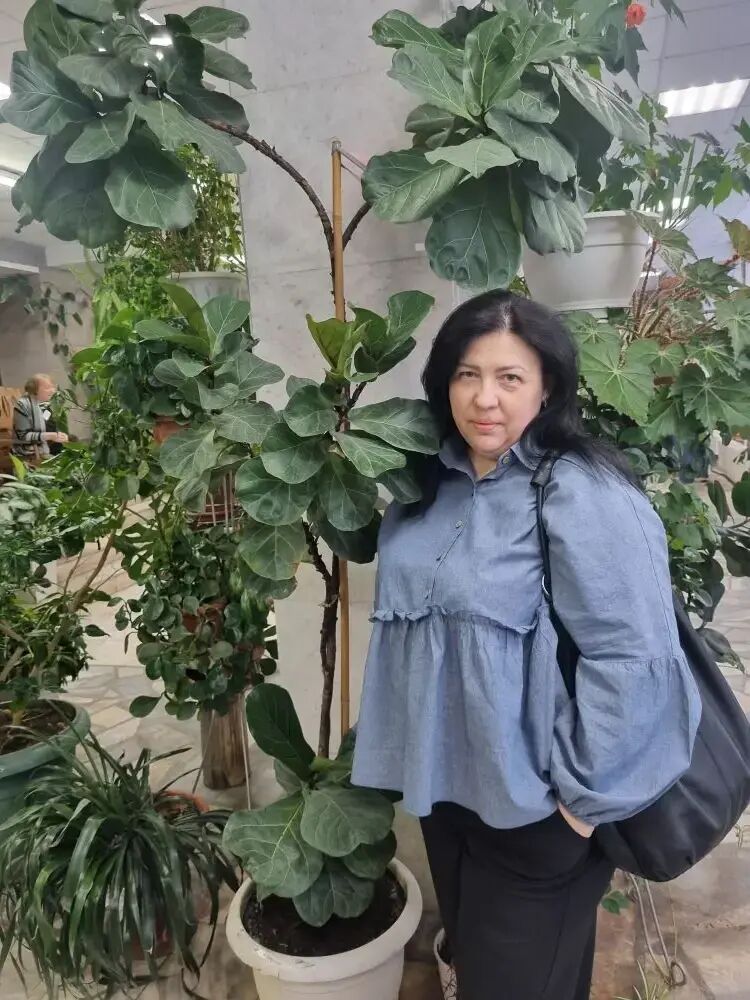 ���� 56284477 ������� �����, 48 ���, ���� ���������� � ���