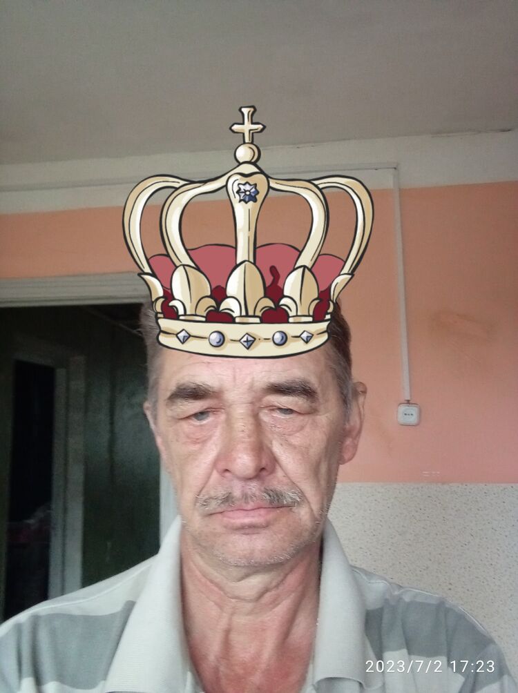  36028617  , 68 ,    