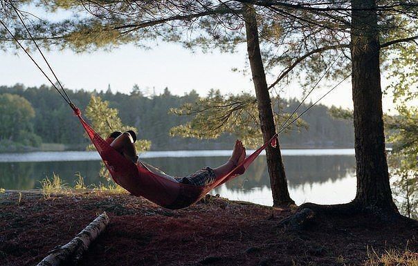  4079207  JAMWID, 36 ,    