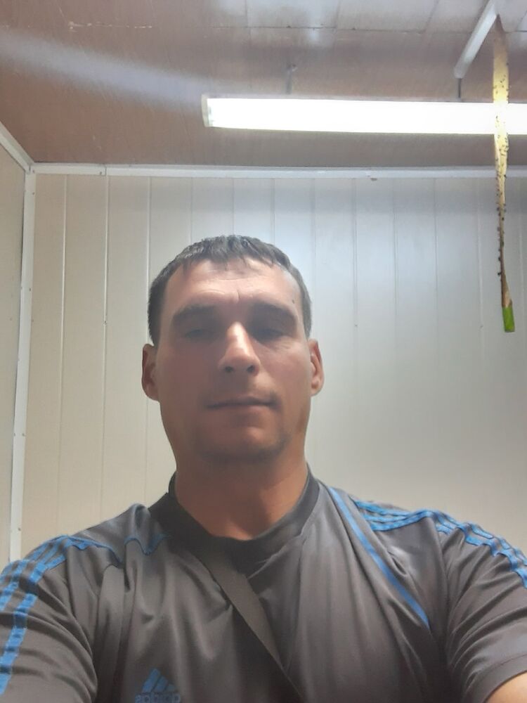  ,   Vitek, 44 ,     , c 
