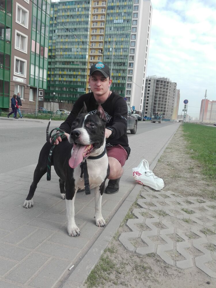  27883107  , 38 ,    -