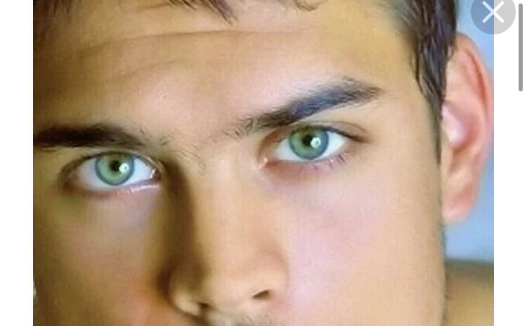 ���� 29425277 ������� ����, 44 ����, ���� ���������� � ������