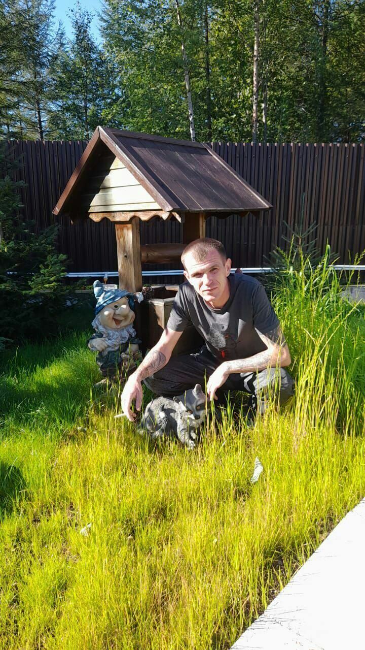  31284517  , 37 ,    -