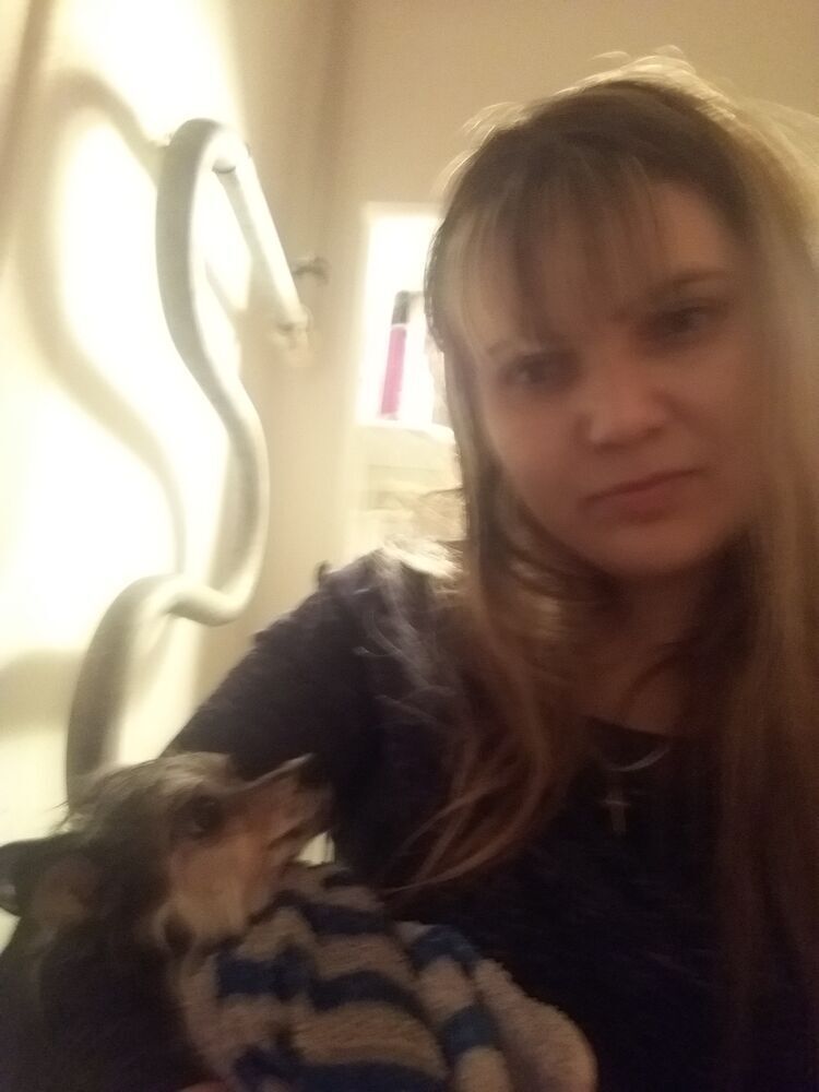  50568077  , 40 ,    -