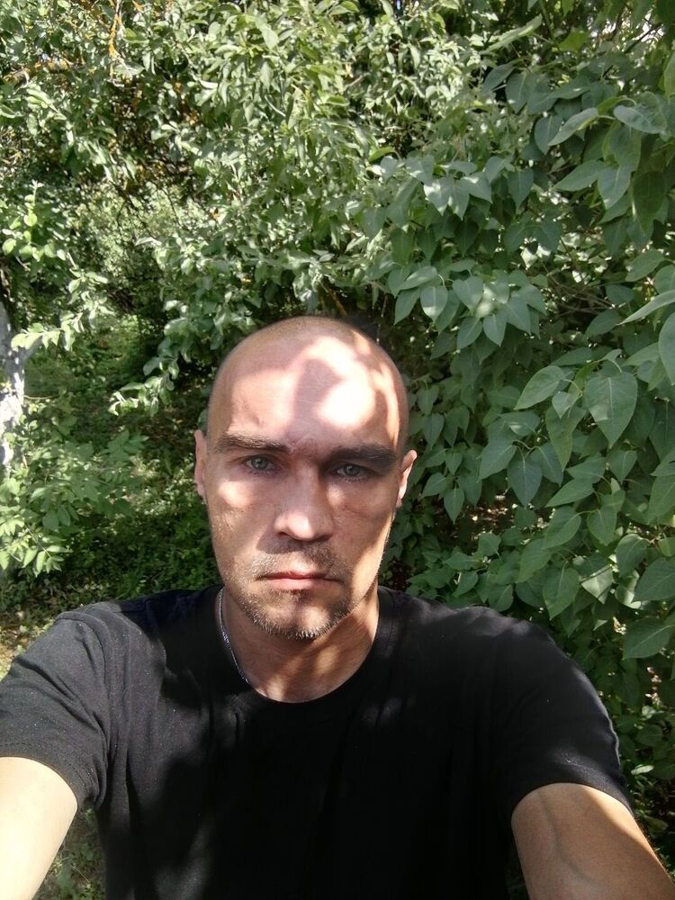  44436607  , 44 ,    