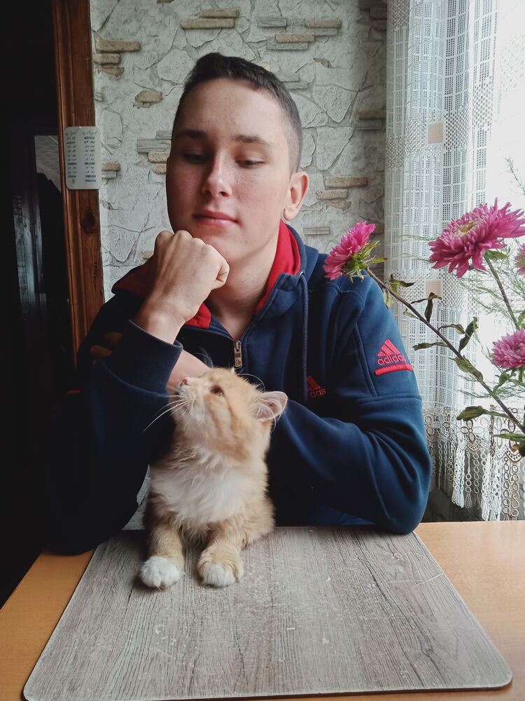  ,   , 21 ,   ,   