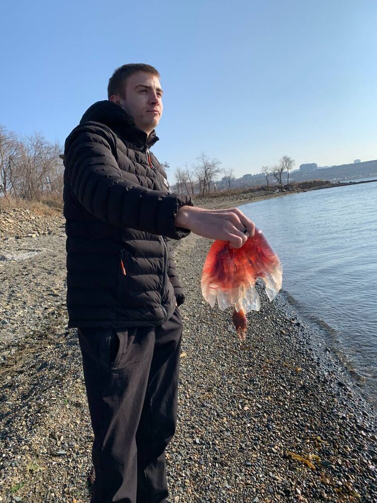  34517997  Vlad, 24 ,    