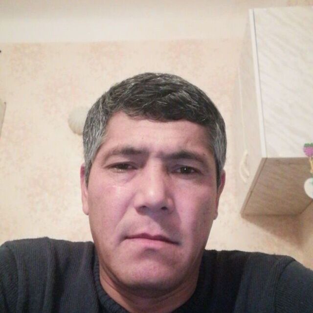  41881487  , 41 ,    