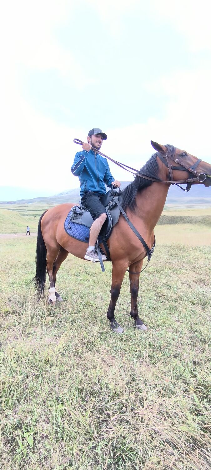 ���� 56253237 ������� Amin, 27 ���, ���� ���������� � ���������