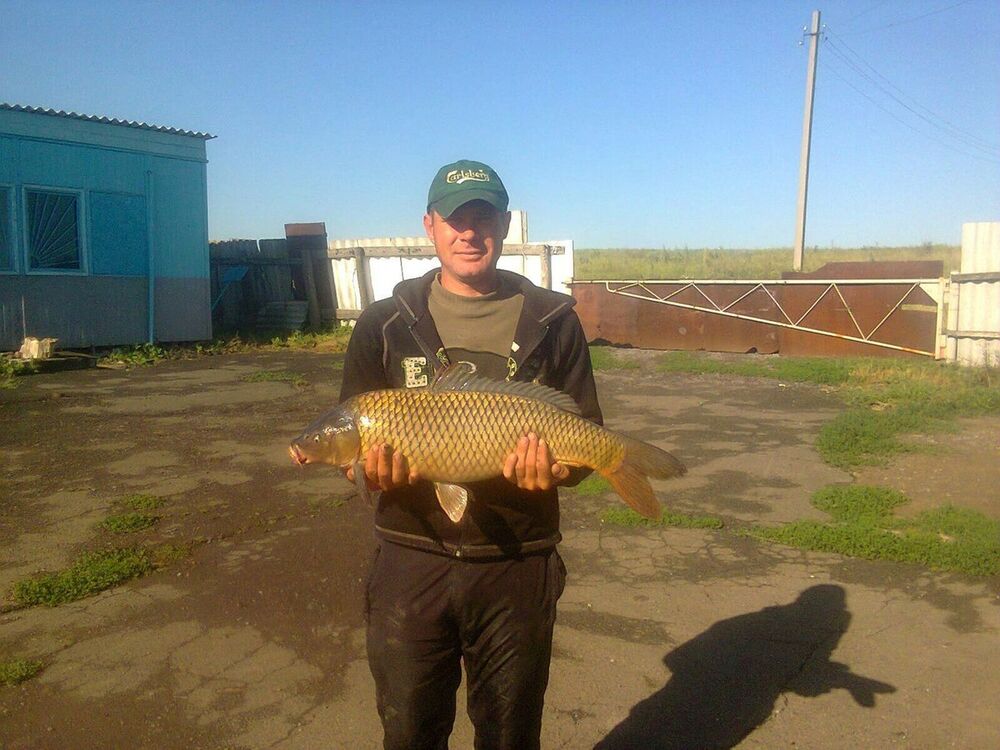 ���������� ������, ���� ������� ���������, 41 ���, ������������ ��� ������, ����� � ���������, c�������� ���������