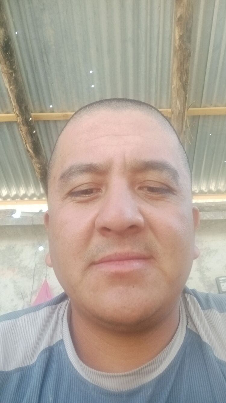  47766477  , 32 ,    
