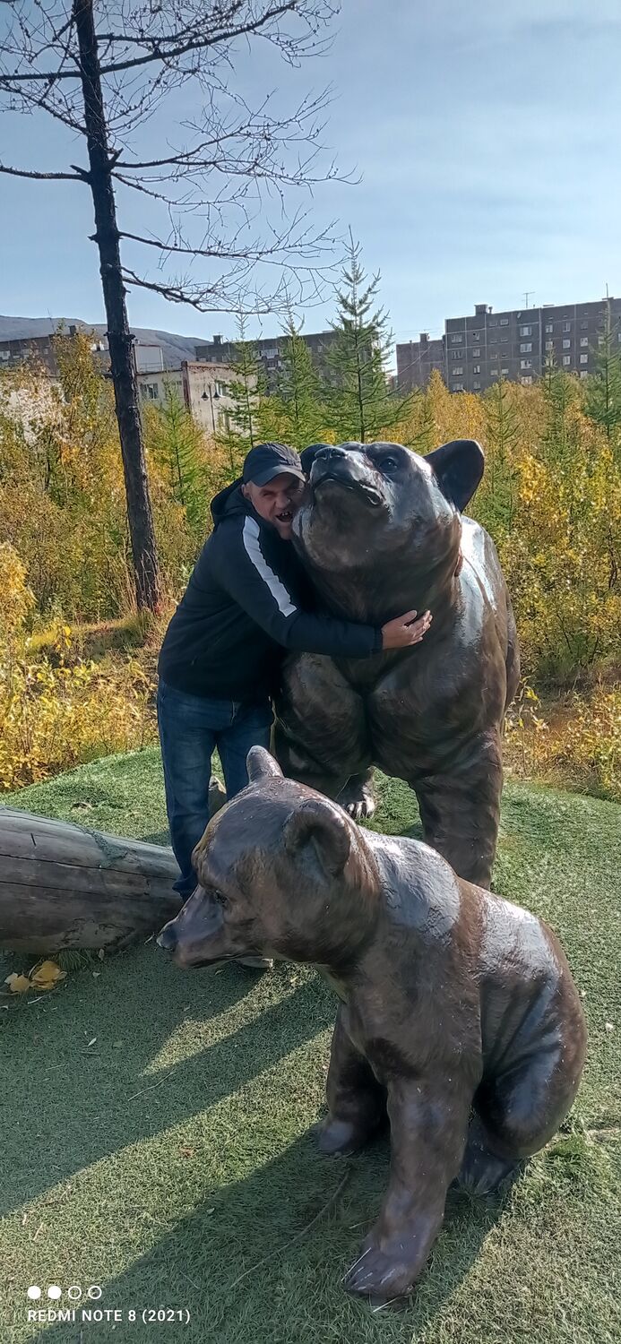 ���������� ����������, ���� ������� �������, 44 ����, ������������ ��� ������, ����� � ���������, c�������� ���������, ���������