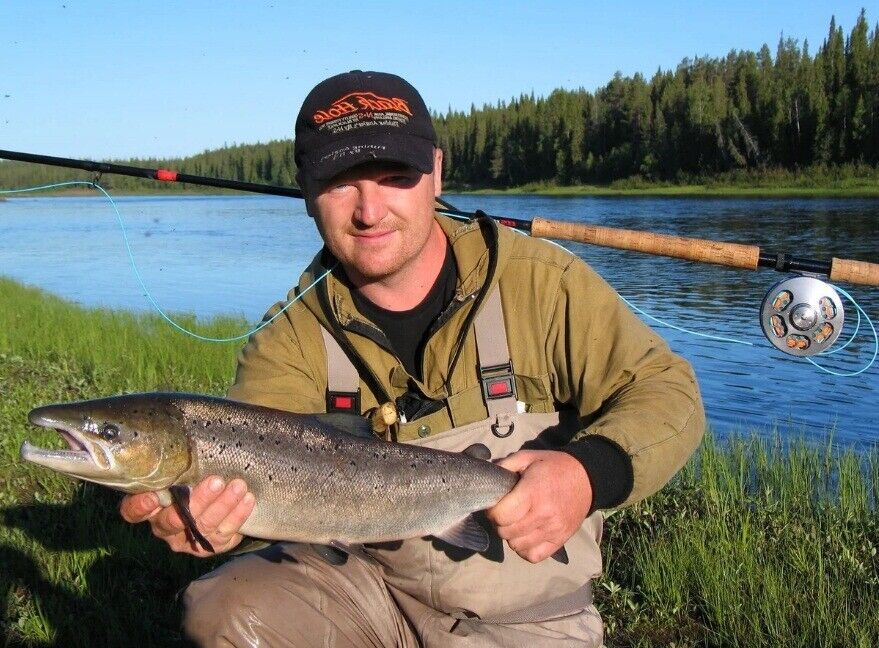 ���������� �������, ���� ������� �����, 38 ���, ������������ ��� ������, ����� � ���������, c�������� ���������