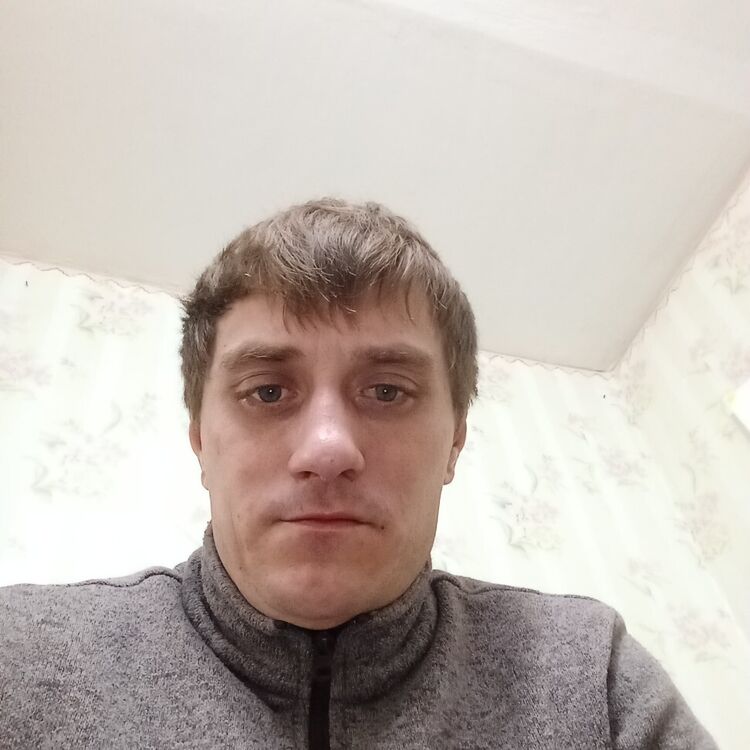 ���� 55079737 ������� ����������, 33 ����, ���� ���������� � ��������