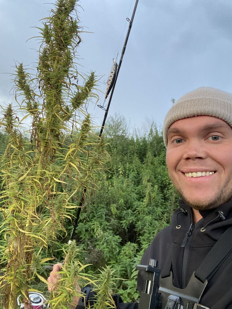 ���������� �������, ���� ������� �������, 31 ���, ������������ ��� ������, ����� � ���������, c�������� ���������, ���������