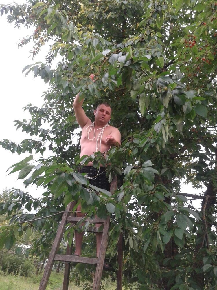 ���������� ������, ���� ������� �����, 53 ����, ������������ ��� ������