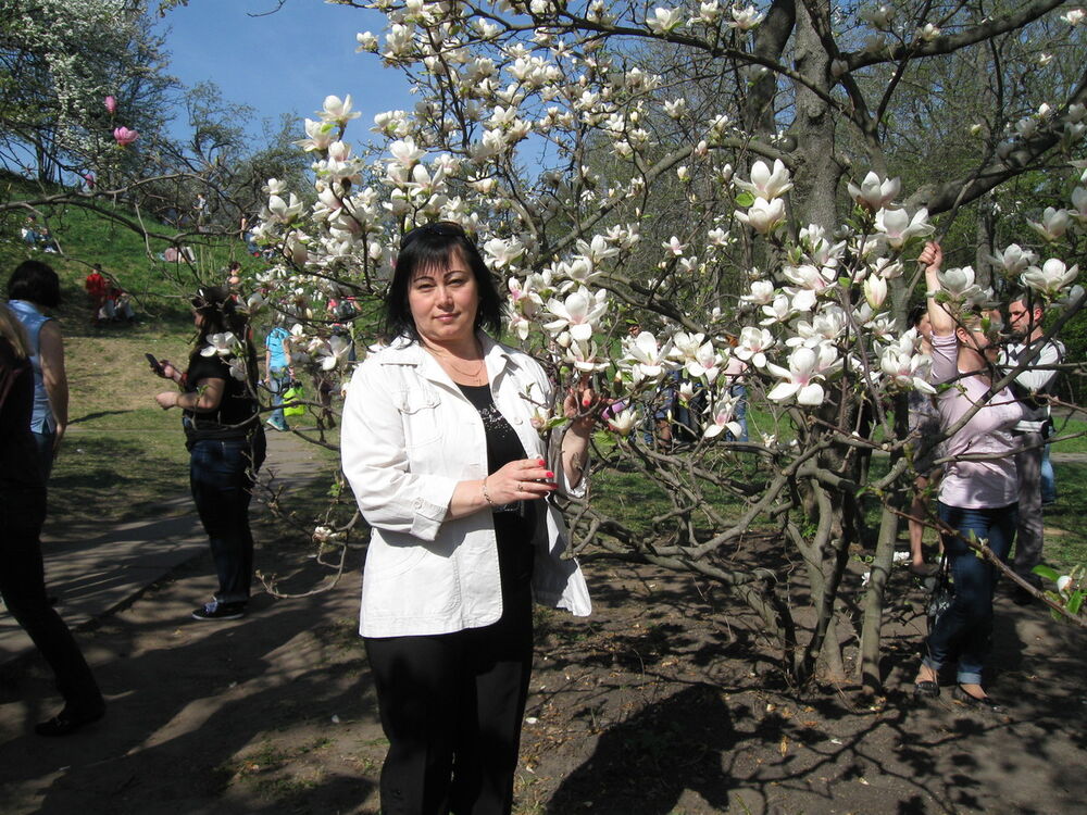 ���� 8334457 ������� ����, 48 ���, ���� ���������� � �����