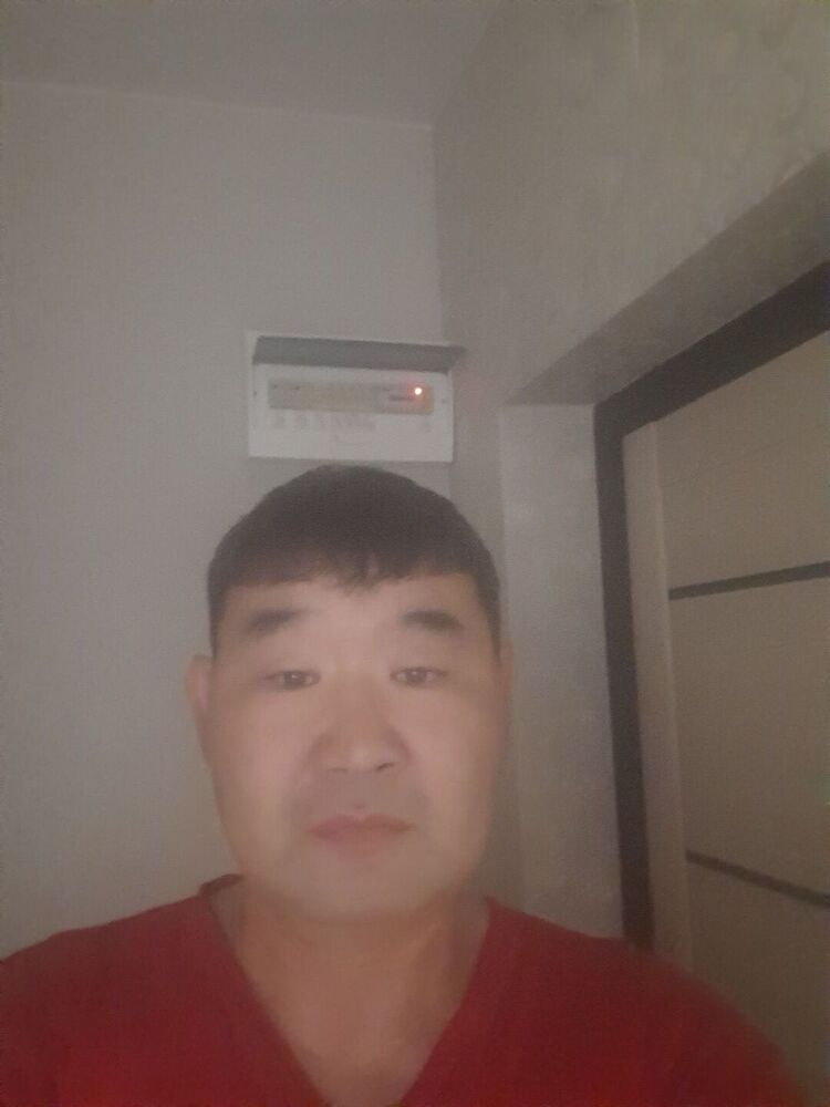  40680767  , 49 ,    