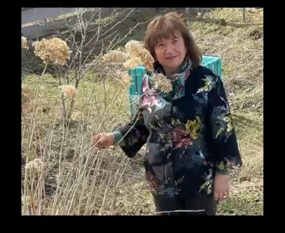 ���� 56159147 ������� �����, 60 ���, ���� ���������� � ���������