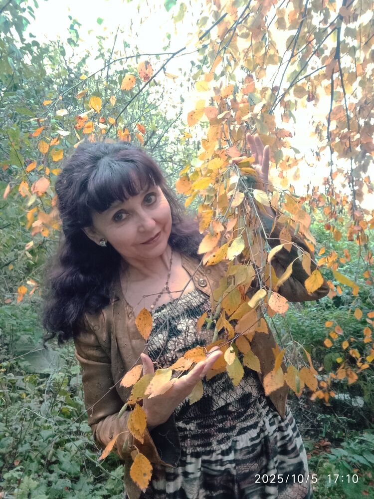  ,   Ma, 64 ,     , c 