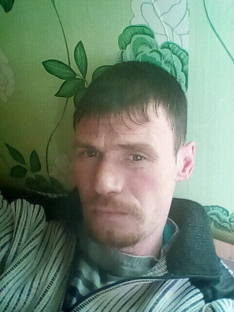  50457037  , 40 ,    
