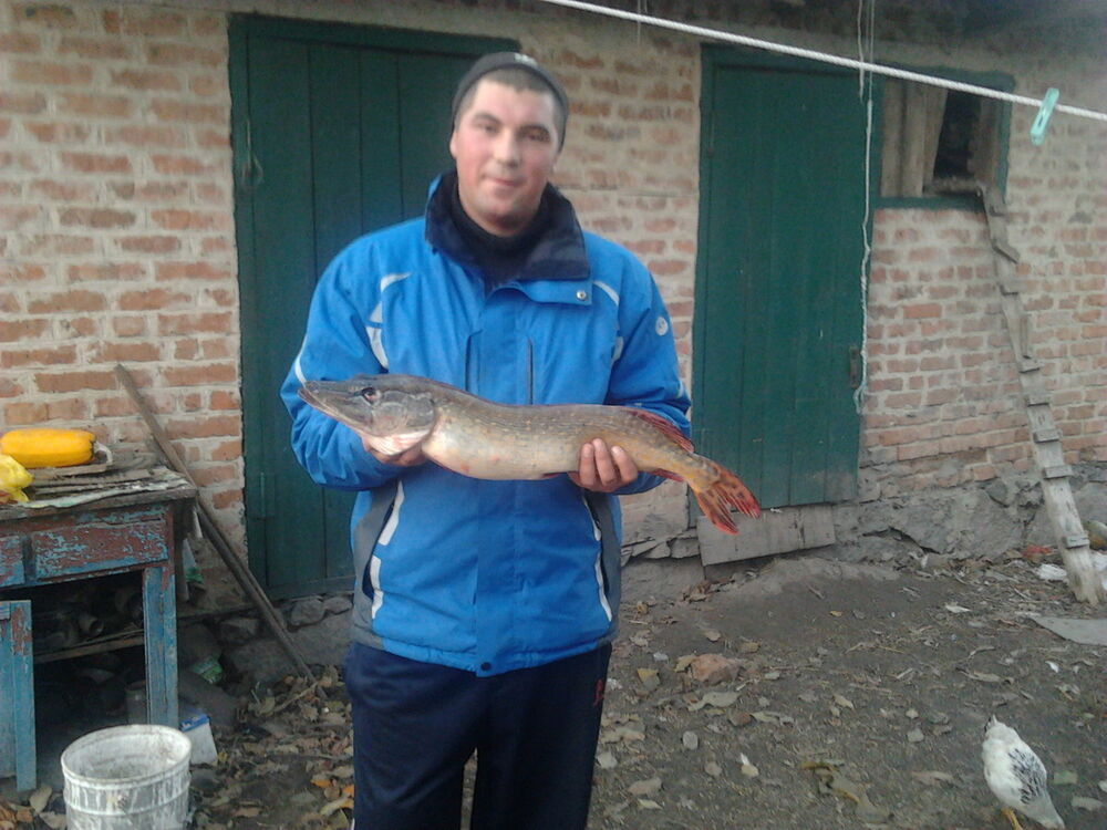  6246777  MAKS, 36 ,    