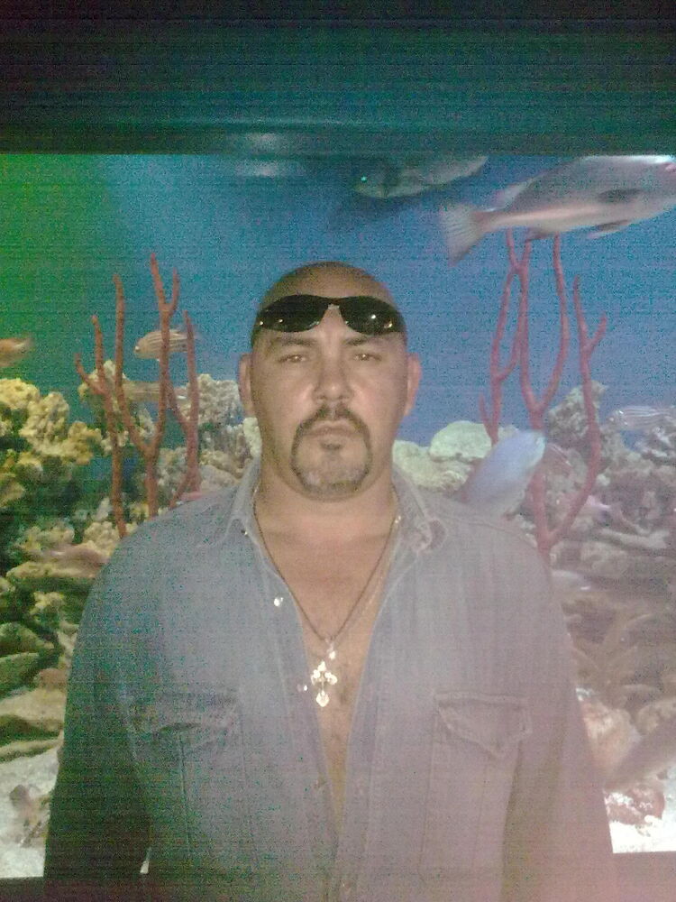 ���� 55619007 ������� �����, 59 ���, ���� ���������� � �����-����������