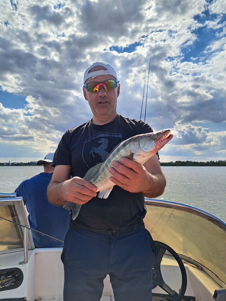 ���� 39837857 ������� ������, 43 ����, ���� ���������� � ������