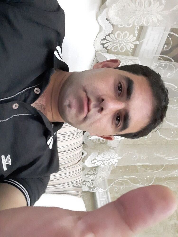 ���� 17240667 ������� Terlan, 38 ���, ���� ���������� � ����