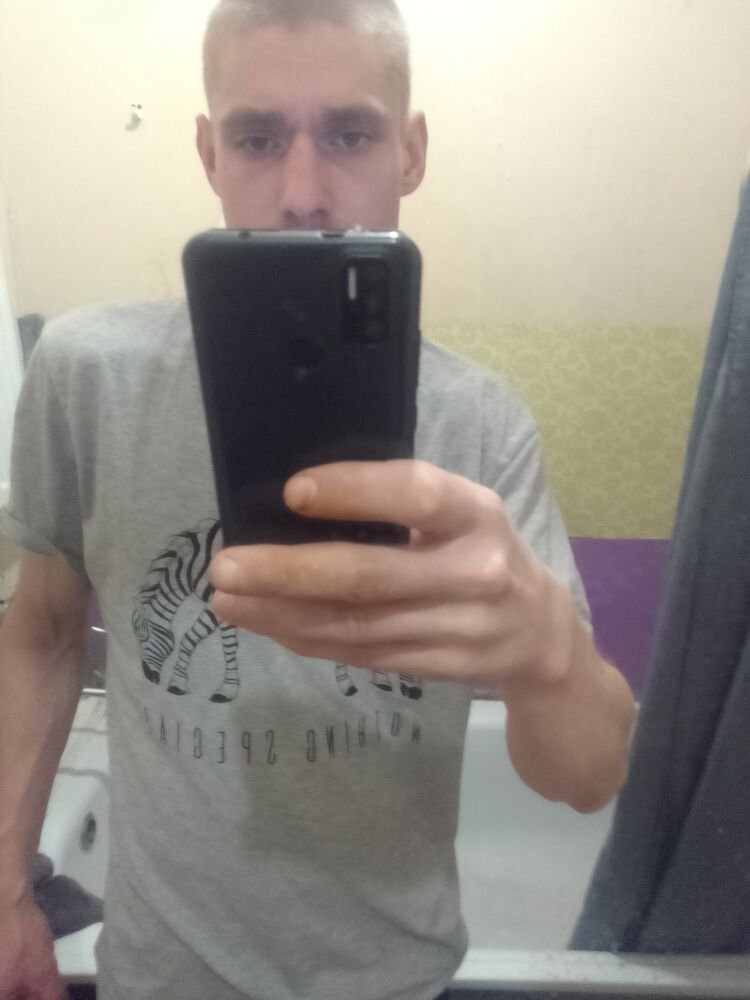  42006137  , 31 ,    -