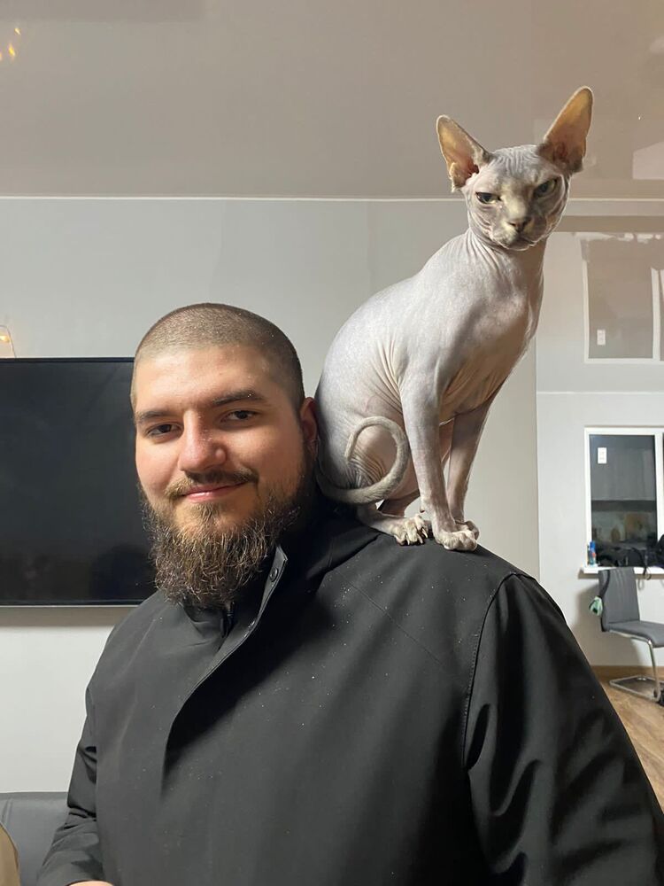 ���������� ��������, ���� ������� ������, 29 ���, ������������ ��� ������, ����� � ���������