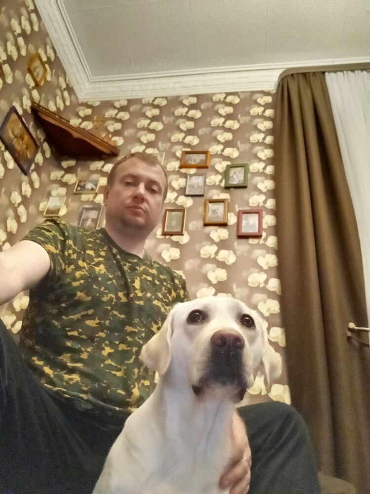 ���� 56055587 ������� ���������, 43 ����, ���� ���������� � ��������