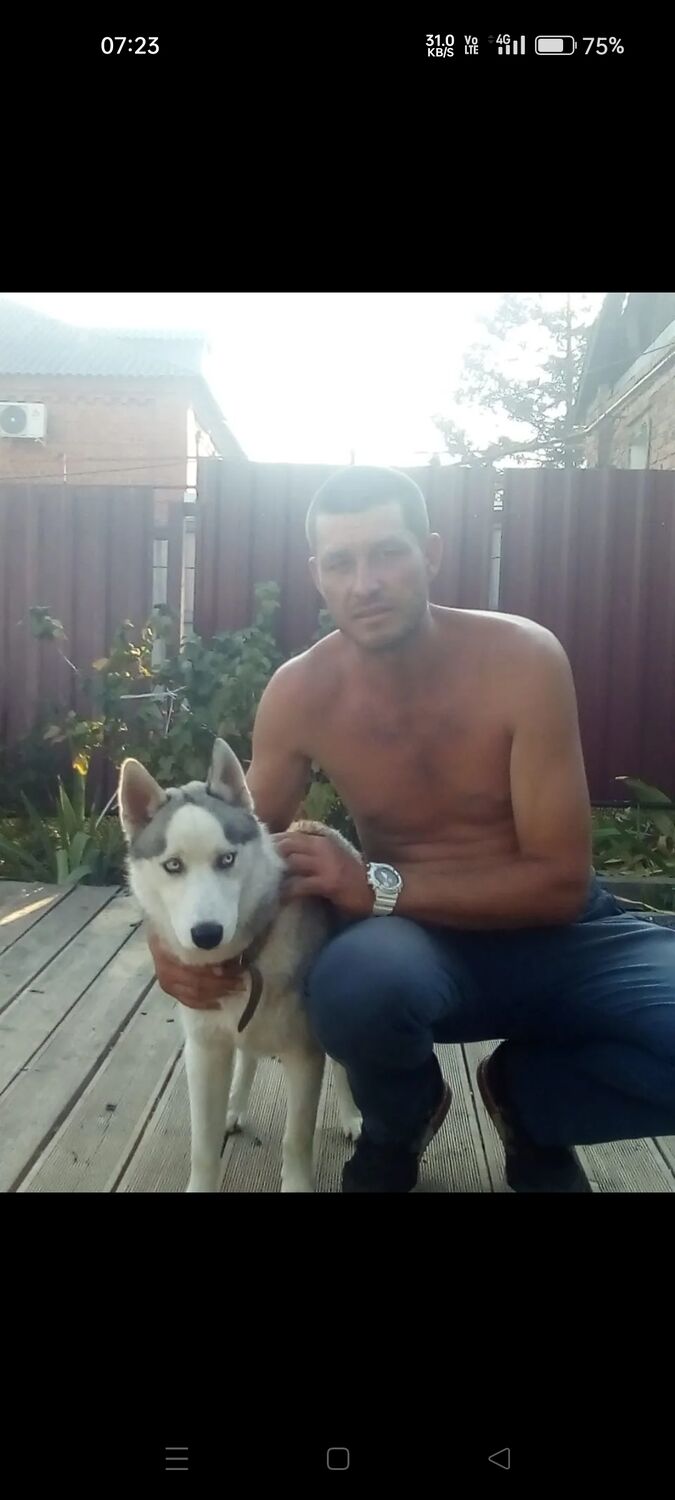 ���������� ������-��-����, ���� ������� ���������, 44 ����, ������������ ��� ������, ����� � ���������, ���������