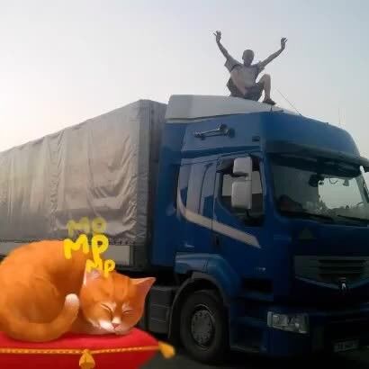 ���� 9984827 ������� ������, 46 ���, ���� ���������� � ������