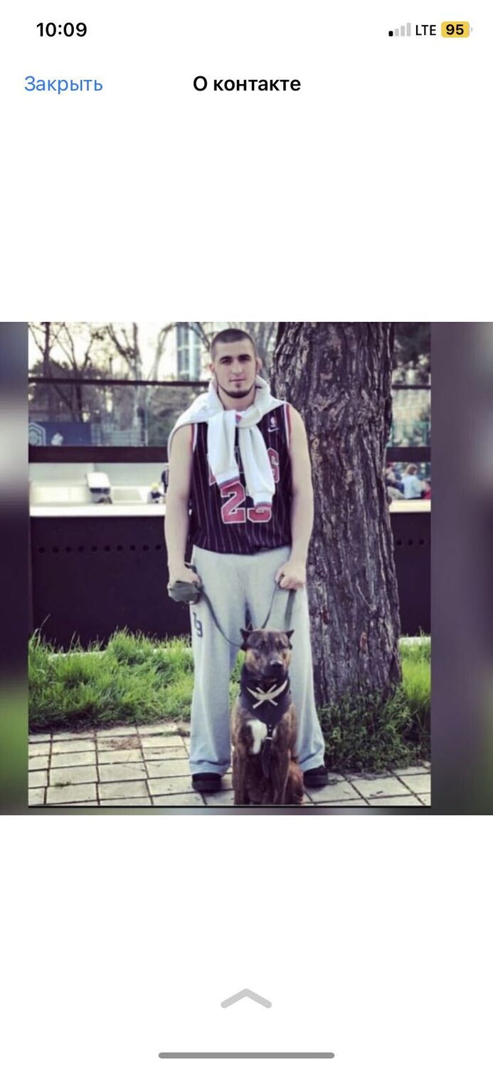 ���������� �����-���������, ���� ����� �����, 24 ����, ������������ ��� ������, ����� � ���������