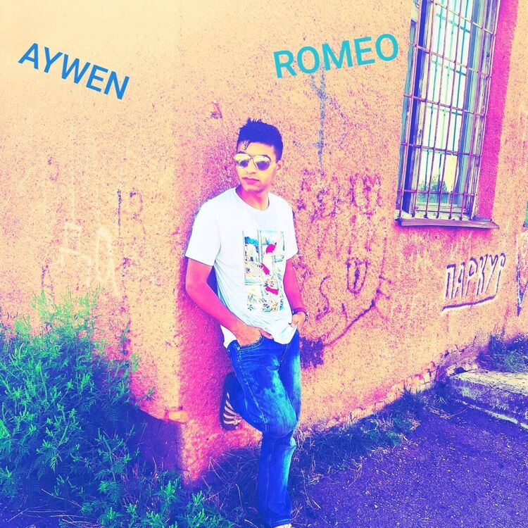  22449807  , 24 ,    