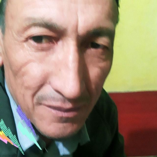  24747527   , 62 ,    