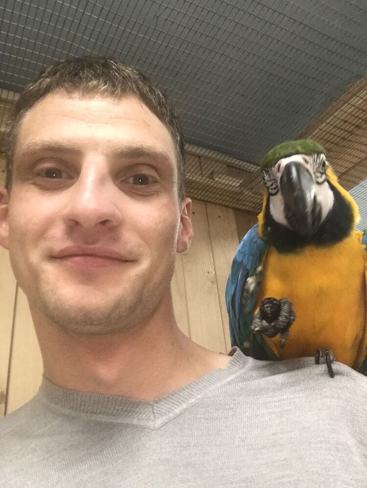 ���������� �����, ���� ������� �����, 35 ���, ������������ ��� ������, c�������� ���������