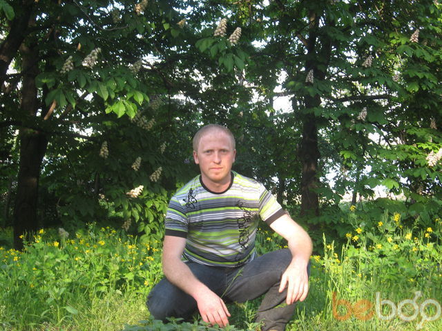 ���������� ����, ���� ������� ����, 46 ���, ������������ 