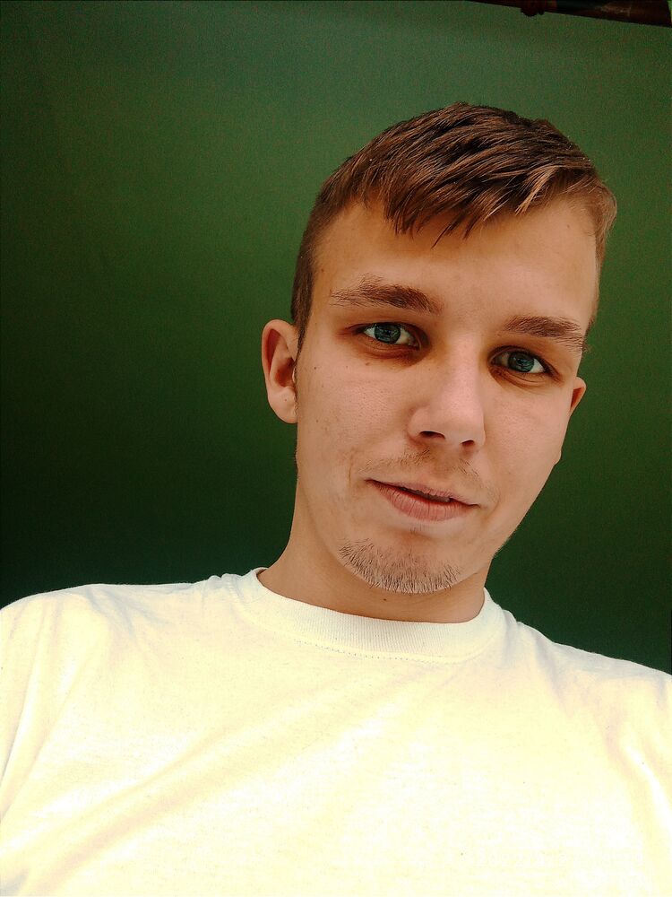  31383557  , 28 ,    