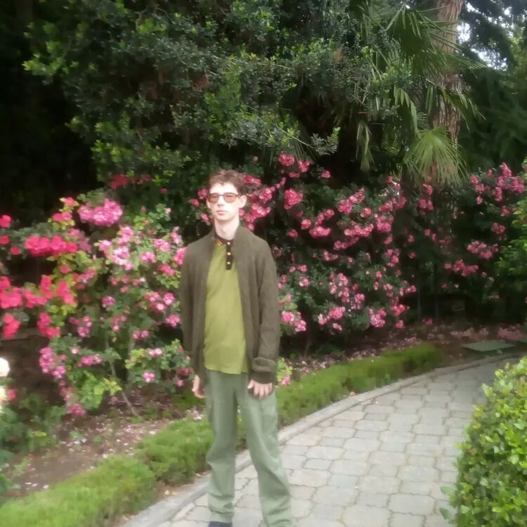 ���������� ������, ���� ����� ������, 24 ����, ������������ ��� ������, ����� � ���������