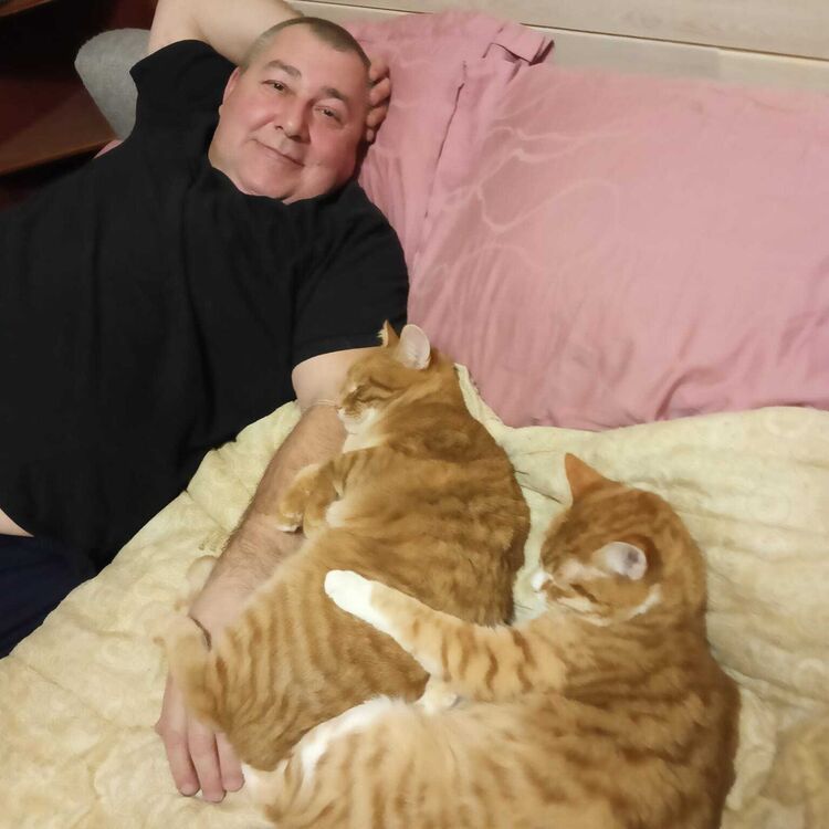 ���������� ������, ���� ������� ���������, 55 ���, ������������ ��� ������, ����� � ���������, c�������� ���������, ���������